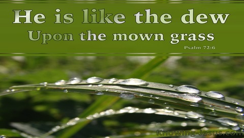 Psalm 72:6 He Is Like The Dew On The Mown Grass (green)